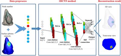 Bioluminescence Tomography Based on One-Dimensional Convolutional Neural Networks